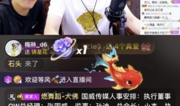 云儿哥哥爆料视频播放在线观看,独家内容在线观看，揭秘幕后真相